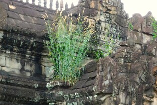 Cambodja 0027 Banteay Samré
