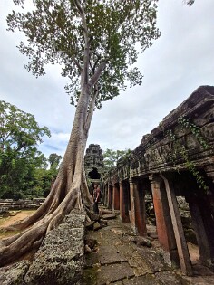 Cambodja 0109 Banteay Kdei