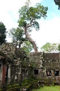 Cambodja 0177 Ta Promh