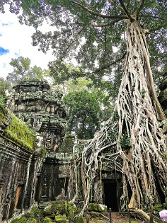 Cambodja 0178 Ta Promh