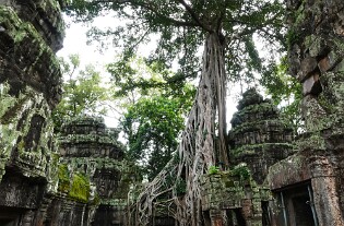 Cambodja 0196 Ta Promh