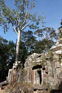 Cambodja 0213 Ta Nei