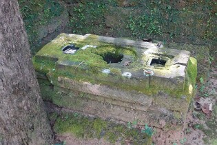 Cambodja 0215 Ta Nei